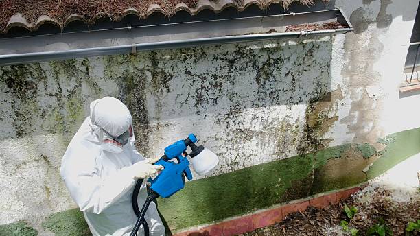Top rated local Mold Cleanup specialists in Hanover, PA